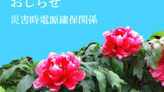 Thumbnail of post image 186